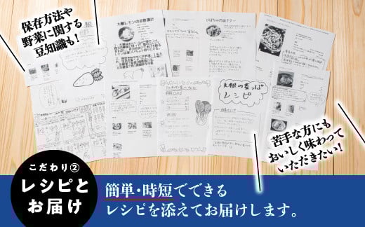 とある日のセットの例です