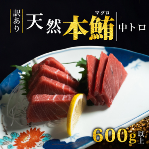 【スピード発送】 訳あり 天然本まぐろ 中トロ600g以上 まぐろ