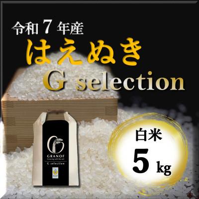 ふるさと納税 鶴岡市 【令和7年産】山形県鶴岡産 Gセレクション はえぬき 白米 5kg