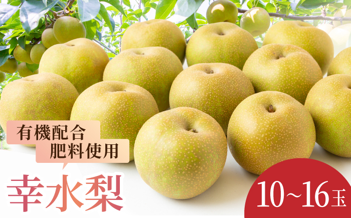 
            【先行予約】有機配合肥料使用 幸水梨 10～16玉 （約5kg） 【2026年7月下旬～8月上旬より順次発送予定】 【春光園】 梨 なし 果物 フルーツ 幸水 こうすい 果実 福岡県 うきは市 常温
          