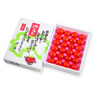 ＜2026年1月下旬より発送＞フルーツトマト特選ギフト約1kg トマト フルーツトマト 池トマト 糖度10度以上 高糖度 高知県産 ギフト 箱入り 贈答用 贈り物 健康 美味しい ふるーつとまと お取
