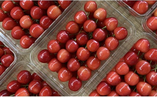 8-018-009　さくらんぼ 紅秀峰（L）500g 【グリーンドロップ農園】
