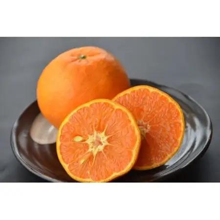 カラマンダリン 秀品 [約5kg]和歌山県有田産春みかん(果実サイズおまかせ)【1284456】