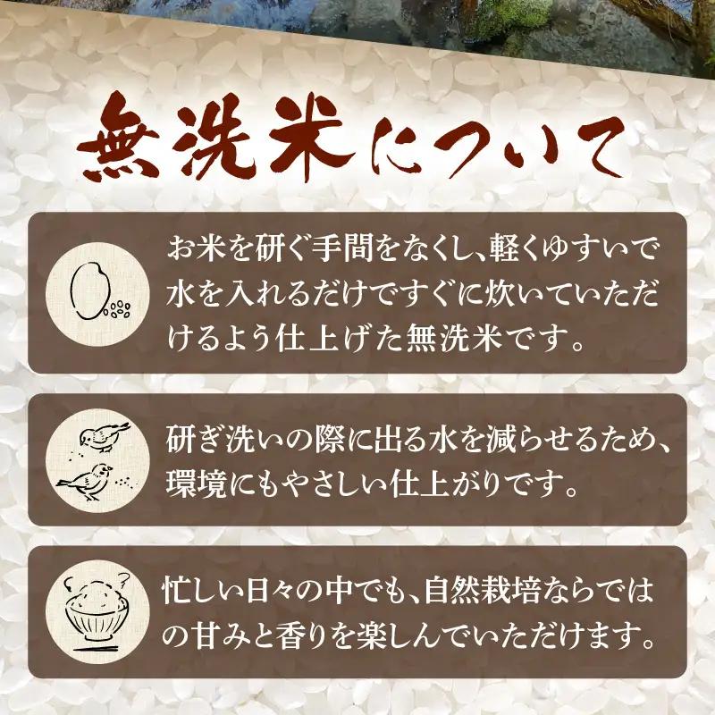 【先行予約】【令和8年産 新米】定期便 ≪3ヶ月連続お届け≫ 自然栽培米コシヒカリ 無洗米5kg×3回（計15kg） 伊与衛門農園の特別栽培米＜温度と湿度を常時管理し新鮮米を出荷！＞/ 米 白米 自然