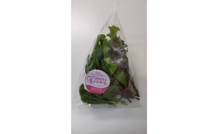 【定期便 3ヶ月連続】洗わずに食べられる！たむらの愛され野菜 ミックスリーフセット　10個