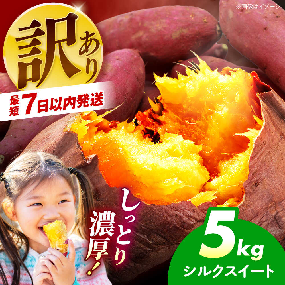 【ふるさと納税】【年内発送】【訳あり】【期間限定12月下旬まで】さつまいも シルクスイート 5kg 野菜 さつまいも サツマイモ シルクスイート 5kg 訳あり 訳アリ スイーツ 農薬不使用 やきいも 天ぷら 大容量 お取り寄せ おすすめ 大阪府高槻市/ベジ彩ファーム[AOEJ014]