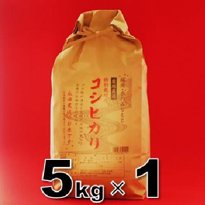ふるさと納税 上越市 永田農法米コシヒカリ　令和7年産　5kg×1袋