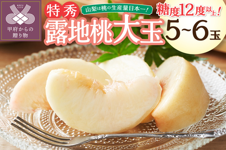 〈2026年度配送分〉糖度12度以上！特秀 露地桃大玉 5-6玉〈約1.8kg〉（2026年7月上旬～下旬にかけて順次配送予定）