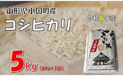 【令和6年産】コシヒカリ5kg　