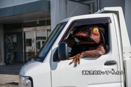 ガジロウ便【関東・中部・近畿・中国・四国】備蓄水 10年保存水 490ml×24本