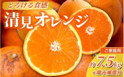 ＜2026年2月より発送＞家庭用 清見オレンジ 7.5kg+250g（傷み補償分）【光センサー食頃出荷】【樹上完熟きよみオレンジ・清見タンゴール・清美】【わけあり・訳あり】 / オレンジ 清見 おれんじ みかん 柑橘 有田 産地直送  くだもの 果物 フルーツ 柑橘類 和歌山 由良町【ikd200B】