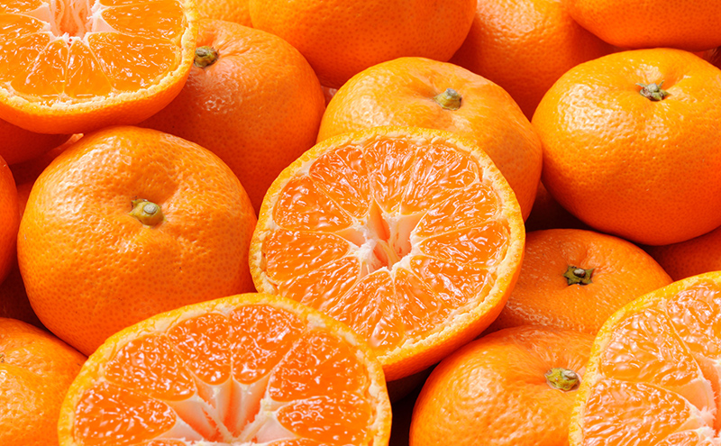 【2025年11月中旬より順次発送】 三ヶ日みかん 早生 3kg M～L 早生みかん みかん 蜜柑 ミカン 果物 くだもの 旬のフルーツ 旬の果物 季節のフルーツ 季節の果物 柑橘 柑橘類 静岡 静岡