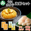 【ふるさと納税】3078. うに 200g ホタテ 200g 計400g セット ウニ チリ産 冷凍 雲丹 ほたて 生ほたて 帆立 冷凍 海鮮 海鮮丼 北海道 弟子屈町 18000円