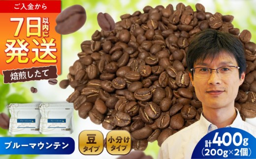 ブルーマウンテンNo.1 コーヒー豆 200g×2個 (豆) / 珈琲 コーヒー 豆 / 瀬戸市 / Ｃｏｆｆｅｅ　ＳＡＫＵＲＡ [BBAB008]