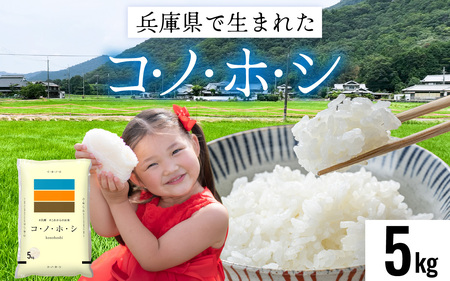 兵庫県産コノホシ (5kg) 米 / 米