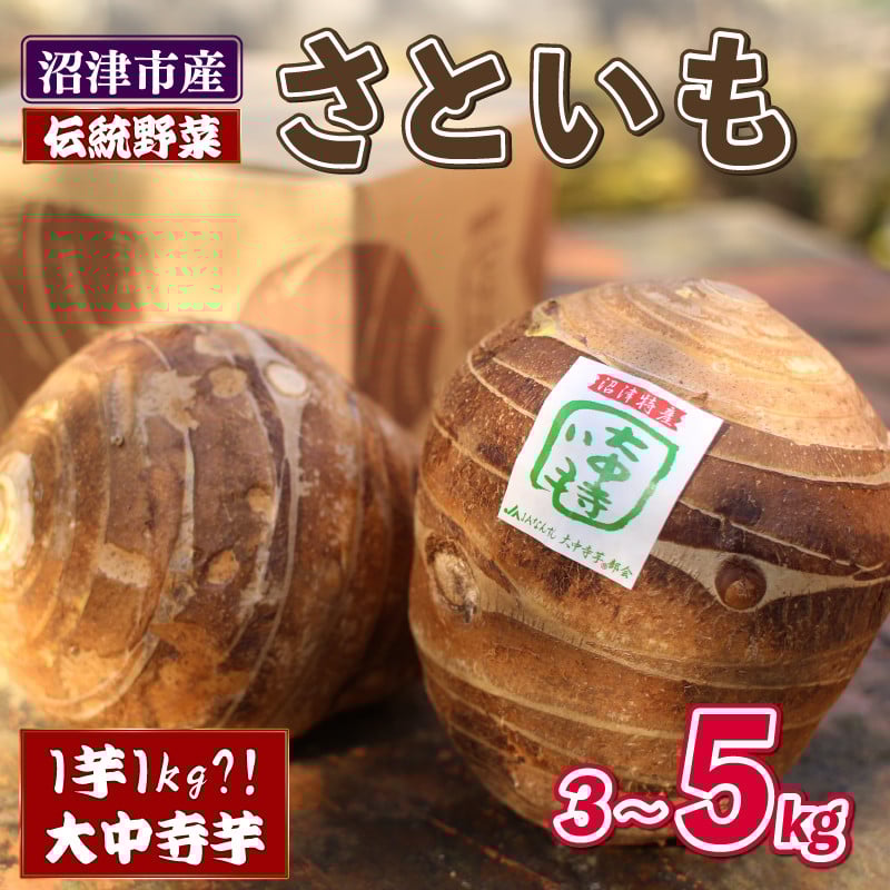 
                  さといも 3~5kg 芋 里芋 大中寺芋 沼津特産 野菜 根菜 さといも 煮物 産地直送 国産 農家直送 数量限定 先行 予約 受付 事前予約 10月から順次発送 静岡県 沼津市
                