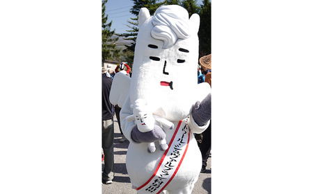 白馬村キャラクター　ヴィクトワール・シュヴァルブラン・村男3世　ぬいぐるみ　全長450mm　長野県白馬村/ゆるキャラ【O0130231】