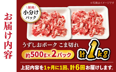 6回定期便 長崎うずしおポーク こま切れ 1kg CAG312 こま切れ 訳あり