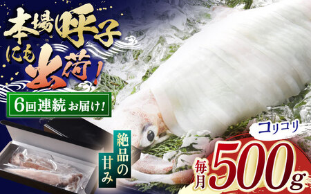 【6回定期便】極鮮ヤリイカ 約500g【海隆丸】[KAB179]/ イカ いか イカ いか イカ いか イカ いか イカ いか イカ いか イカ いか イカ いか