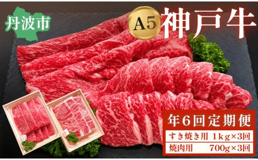 神戸ビーフ A5ランク 定期便 年6回 奇数月お届け 兵庫県丹波市産 黒毛和牛 Hコース ギフト対応 神戸牛 神戸肉