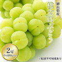 【ふるさと納税】ぶどう 2025年 先行予約 桃太郎 ぶどう 2房（1房 480g以上 露地栽培）贈答用 ブドウ 葡萄 岡山県産 国産 フルーツ 果物 ギフト　 果物 フルーツ 岡山の葡萄 　お届け：2025年9月上旬～2025年10月中旬