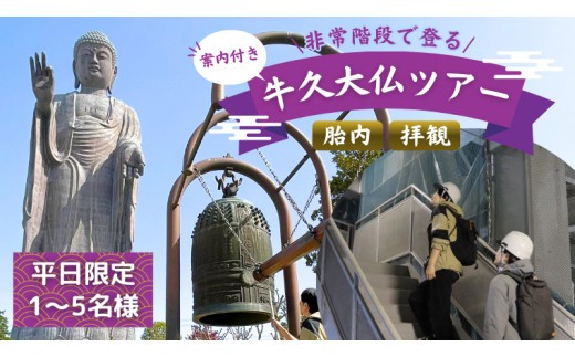
《 案内付き 》 非常階段で登る 牛久大仏 胎内 拝観 ツアー ※ 平日限定 ※ （ 5名様まで ） 貸切 体験 参加券 体験チケット 観光
