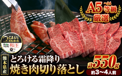 くまもと黒毛和牛 和王 バラ 霜降り 焼肉切り落とし 550g A5 A4 等級《30日以内に出荷予定(土日祝除く)》熊本県 苓北町 黒毛和牛 牛肉 冷凍 個別 取分け 小分け チャック付き バラ凍結 肉 お肉 焼き肉 焼き肉用