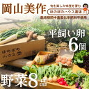 【ふるさと納税】岡山美作の赤土台地でじっくり育てた季節の野菜約8種類と平飼い卵(6個入り)のセットです。【配送不可地域：離島】【1530200】