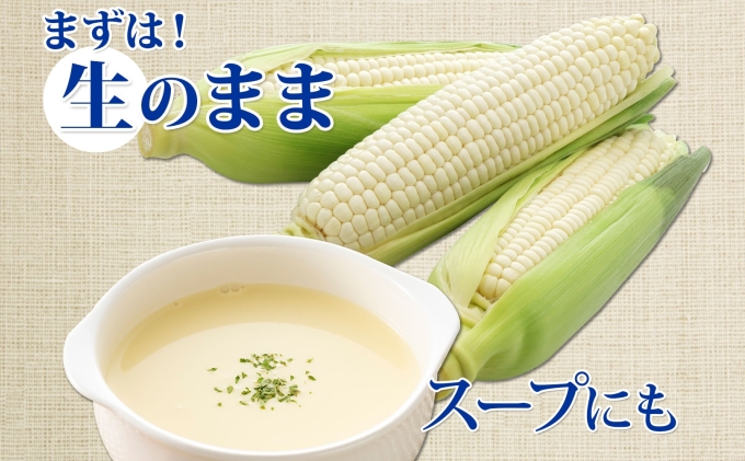 北海道産 旬の有機栽培野菜 ピュアホワイト 10本 3kg以上 とうもろこし 白 有機栽培 オーガニック 有機野菜 有機jas認証 西洋野菜 コーン 新鮮 お取り寄せ 送料無料 ニセコ