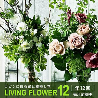 ふるさと納税 酒田市 【発送月固定定期便】カビンに飾る緑と枝物と花「LIVING FLOWER12」空間装飾に! 全12回