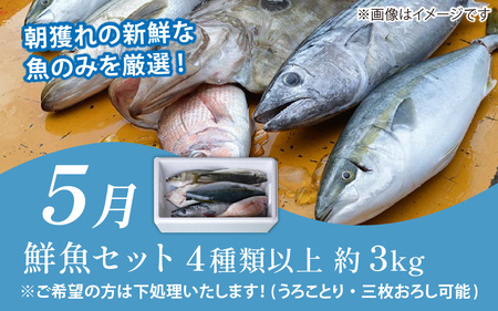 【定期便６回】福井 南越前 海のごちそう便 |  日本海 旬