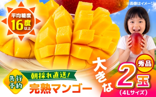 【先行予約】【2026年6月上旬から順次発送】秀品 菊池マンゴー2玉 各625g以上 4Lサイズ 青秀 アップルマンゴー まんごー mango 果物 フルーツ アーウィン くだもの 旬 期間限定 季節限定 スイーツ 国産【友枝マンゴー農園】 [AYDF006]