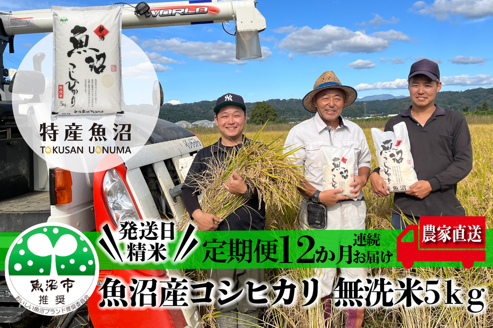 農家直送！ 魚沼産 コシヒカリ 無洗米 60kg 毎月5kgを12ヶ月間お届け （ 米 定期便 12ヶ月 こしひかり 5kg お米 こめ コメ 魚沼産コシヒカリ 魚沼 新潟 魚沼産こしひかり おこめ）