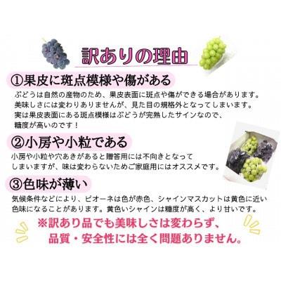 【2025年先行受付】お試しフルーツ王国岡山シャインマスカット2kg!　朝採れぶどう3～5房【配送不可地域：離島】