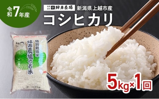 【10月上旬より順次出荷】令和7年産 新潟県 上越市産 コシヒカリ 5kg 精米