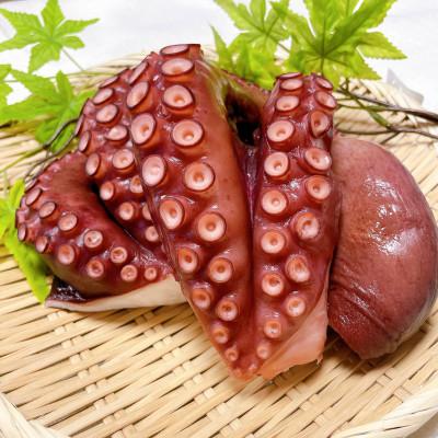 ふるさと納税 鹿嶋市 茨城県 鹿島だこ 700g〜800g |  | 02
