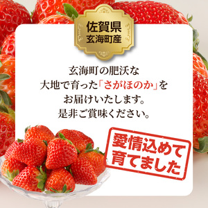 ★予約受付★渡邉農園 佐賀県玄海町産いちご「さがほのか」2025年1月～4月順次配送【D016】