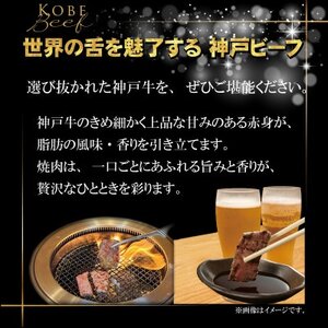 訳あり 神戸牛 焼肉用(部位おまかせ)400g INGWY1 【2026年4月より順次発送】【配送不可地域：離島】【1682043】