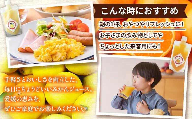 ＜100％ストレートジュース パウチタイプ 160ml×10個（2種類×5）＞『1か月以内に順次発送予定』種類はおまかせ 飲み比べ セット 果物 くだもの フルーツ 柑橘類 みかん 蜜柑 ミカン みか