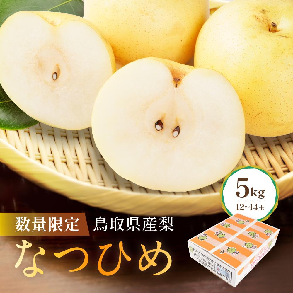 【ふるさと納税】【先行予約】数量限定 鳥取県産梨 なつひめ 5kg（12～14玉） | フルーツ 果物 くだもの 食品 人気 おすすめ 送料無料