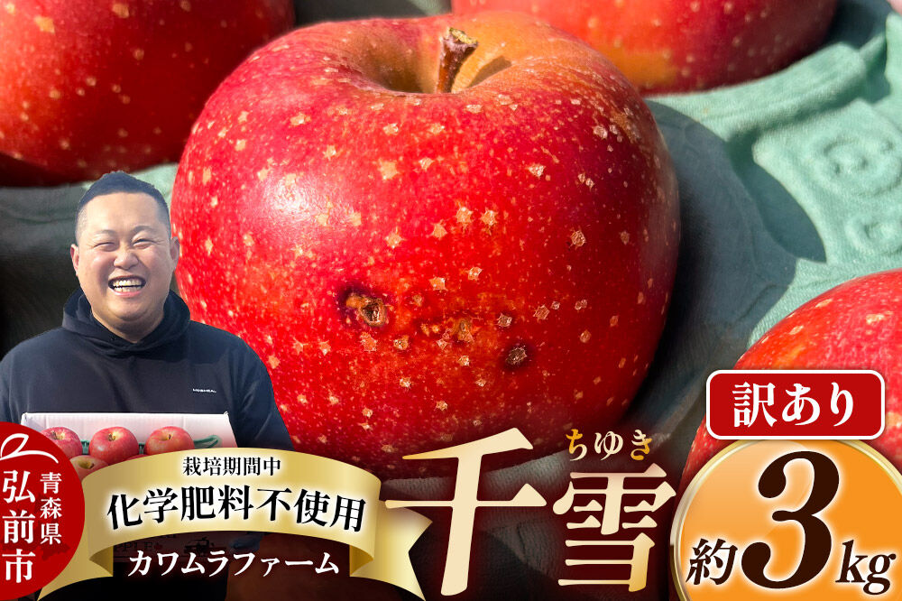 【寄附金額見直しました】【26年10月下旬～発送】りんご 千雪 約3kg カワムラファーム【訳あり】青森 果物 フルーツ 林檎 リンゴ くだもの [先行受付 アップル おいしい ちゆき 果実 果物 赤色 美味 林檎 弘前市]