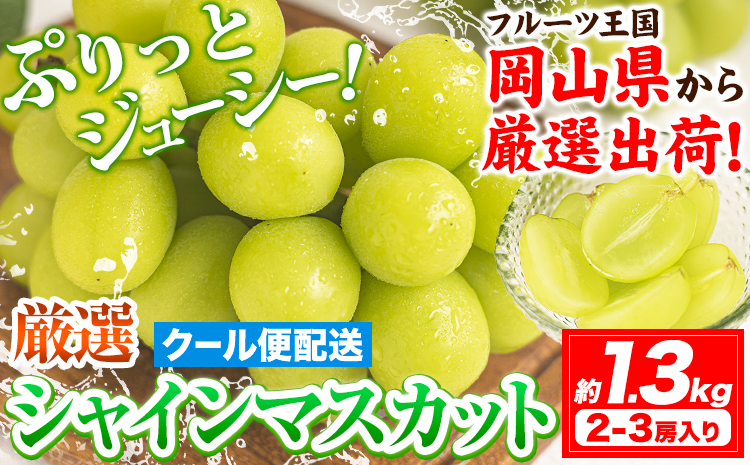 【2026年発送先行予約】シャインマスカット (約1.3kg 2-3房) 《2026年9月上旬-11月中旬頃出荷》ぶどう ブドウ 葡萄 マスカット 果物 フルーツ ギフト 岡山県 笠岡市 フルーツ マスカット