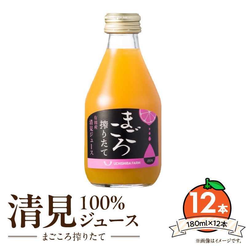 【まごころ搾りたて】清見 100%ジュース 180ml × 12本_ZE6430