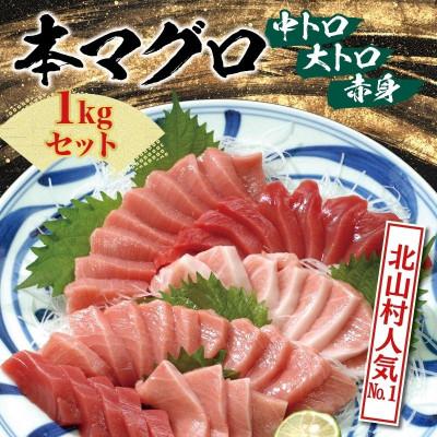 ふるさと納税 北山村 本マグロ(養殖)トロ&amp;赤身セット 1kg【nks105B】