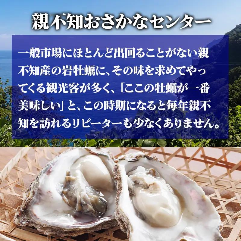 【先行予約】親不知産 天然岩牡蠣(生食用) 大サイズ４～５個 2026年7月中旬以降順次発送 鮮度抜群！ 水揚げ直後に発送 日本海 かき カキ 岩ガキ