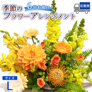 【6回定期便】 季節のフラワーアレンジメント （L） | 発送月固定 花 お花 生花 フラワー フラワーアレンジメント 花束 花の定期便 定期便 6回 配送地域限定 京都府 綾部市