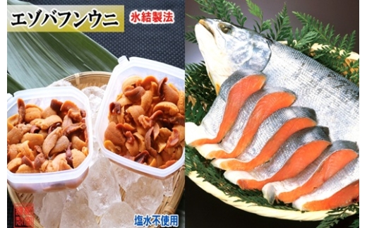 A-71058 冷凍エゾバフンウニ約20～30g×2P(赤系)・塩銀鮭切り身×3切(個包装)[11月上旬以降発送]