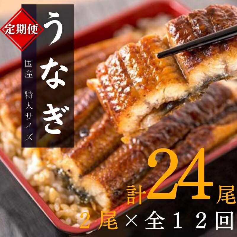 【ふるさと納税】 【全12回定期便】大型サイズ ふっくら柔らか 国産うなぎ蒲焼き 2尾×12回 計24尾 約4080g / 定期便 うなぎ 鰻 蒲焼 冷凍