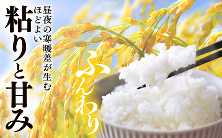先行予約 【令和8年産・新米】 坂井市産 コシヒカリ 白米 10kg (5kg×2袋) (中瀬農産) 2026年10月以降順次発送予定 精米 おこめ [A-20508]
