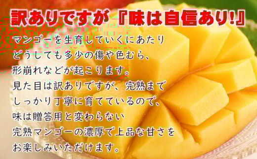 《先行予約》ひだか農園「訳あり」完熟マンゴー（900ｇ以上）　宮崎県西都市産＜1.2-47＞2026年発送 果物 くだもの フルーツ 宮崎県西都市